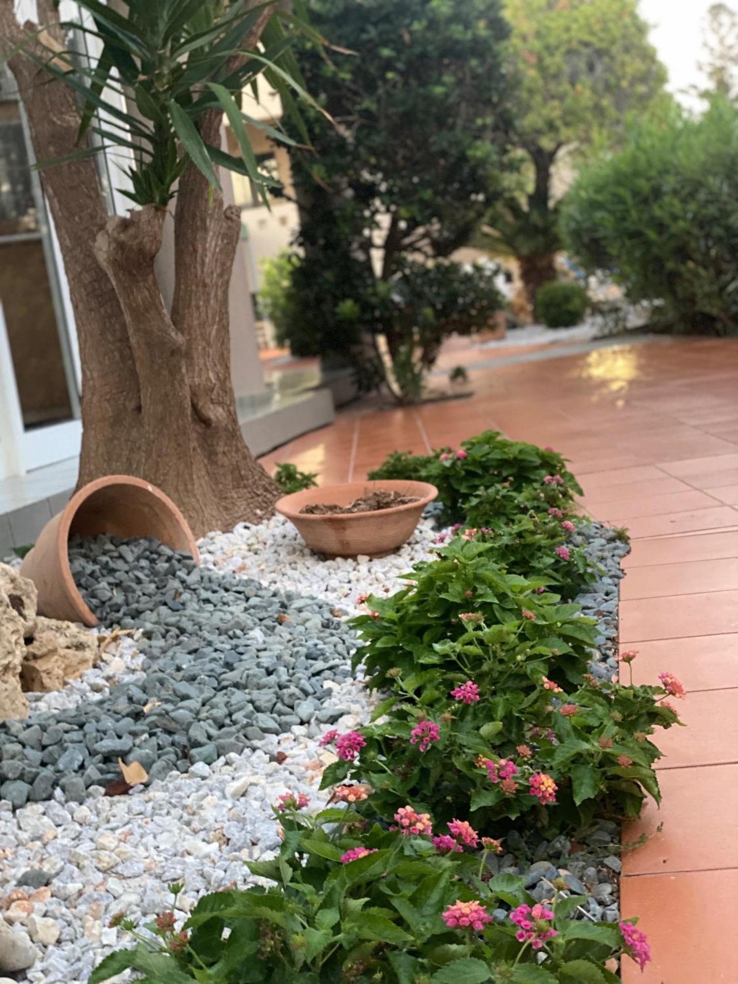 Goúrnes Creteco Hotel & Suites المظهر الخارجي الصورة